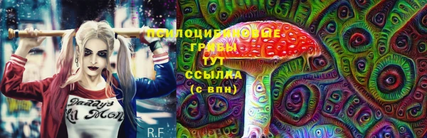 спиды Нефтекумск