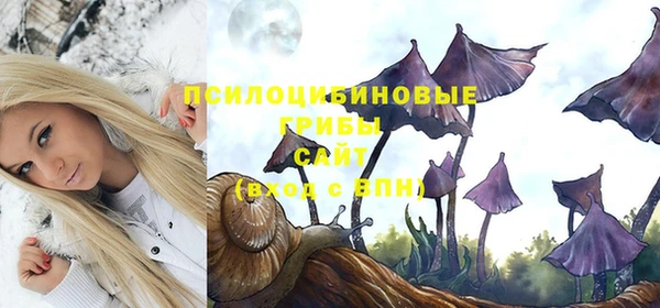 спиды Нефтекумск